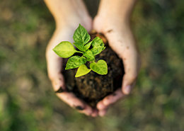 Sustainable items Sustainable items