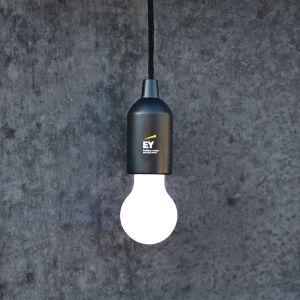 Luxury lamp with EY branded packaging