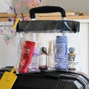 Transparent Washbag