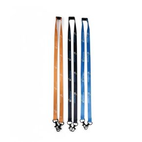 EY-Parthenon Lanyard mit 2 Karabinern